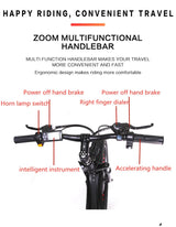 1000W 2000W power mountain bike lithium electric bicycle 48V 20Ah electric bicycle eBike electric bicycle electric snowmobile