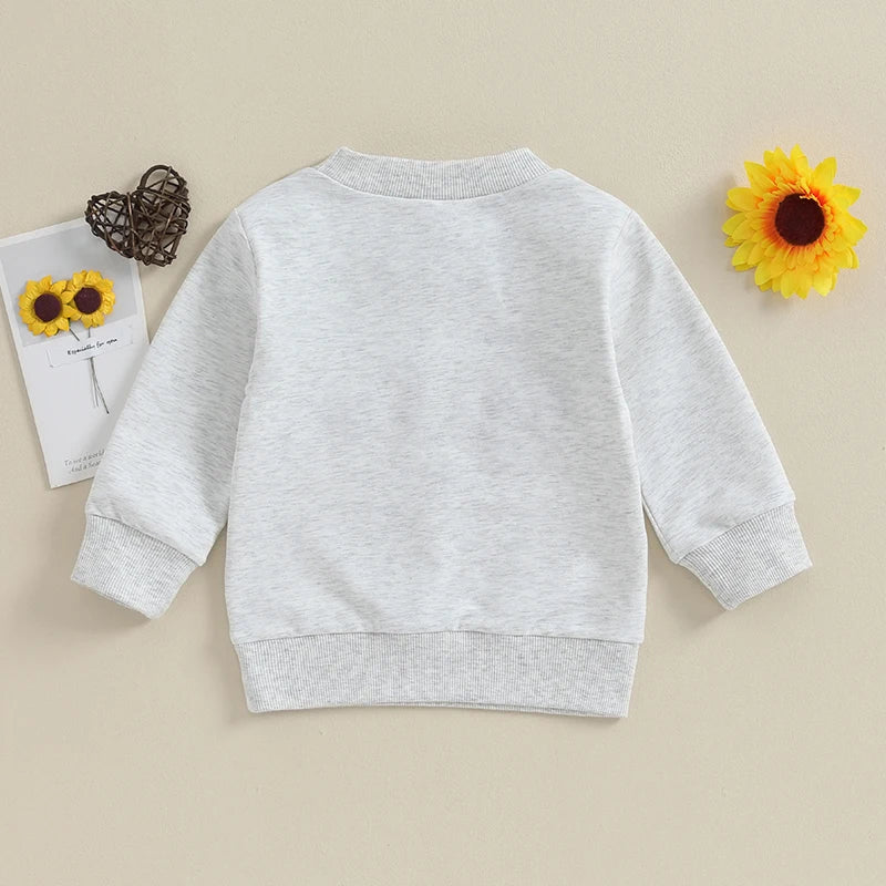 2023-09-09 Lioraitiin Toddler Baby Boy Long Sleeve Sweatshirt Crewneck Pullover Sweater Tops Bro Matching Outfit Baby Clothes