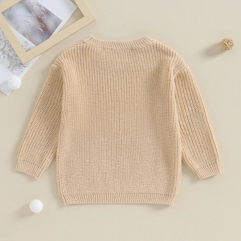 2023-09-18 Lioraitiin 0-18M Baby Boys Sweater Letter Embroidery Crew Neck Long Sleeve Pullovers Fall Toddler Clothes Tops