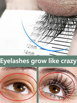 7 Days Fast Eyelash Growth Serum Natural Enhancer Eyelash Longer Fuller Thicker Lashes Treatment Products Eye Care Makeup New