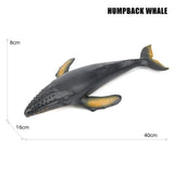 Big Marine Life Animals Humpback Dolphin Killer Blue Whale Shake Cachalot Model Action Figures Ocean Turtle Penguin Educat Toys