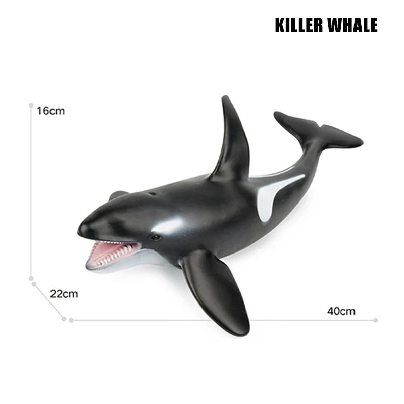 Big Marine Life Animals Humpback Dolphin Killer Blue Whale Shake Cachalot Model Action Figures Ocean Turtle Penguin Educat Toys