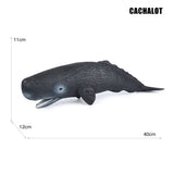 Big Marine Life Animals Humpback Dolphin Killer Blue Whale Shake Cachalot Model Action Figures Ocean Turtle Penguin Educat Toys