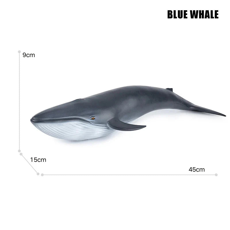 Big Marine Life Animals Humpback Dolphin Killer Blue Whale Shake Cachalot Model Action Figures Ocean Turtle Penguin Educat Toys