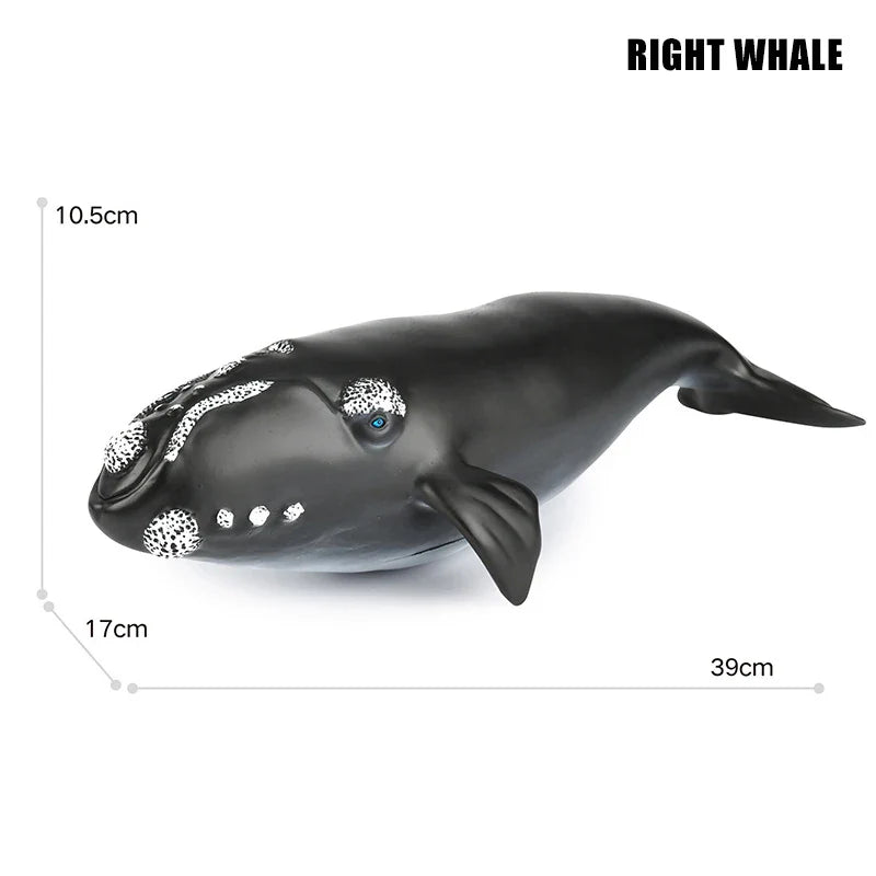 Big Marine Life Animals Humpback Dolphin Killer Blue Whale Shake Cachalot Model Action Figures Ocean Turtle Penguin Educat Toys