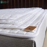 Anti-Skid Thin Cotton Mattress Cushion Protective Pad Hotel Bed Cotton-Padded Mattress Summer Cold Cold Mattress Dormitory Mat