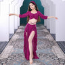 Belly Dance Suit Printing Mesh Top Short Sleeves Split Skirt Practice Clothes Set Female Elegant Performance Clothing Summer