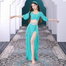 Belly Dance Suit Printing Mesh Top Short Sleeves Split Skirt Practice Clothes Set Female Elegant Performance Clothing Summer