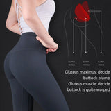 Booty Training Resistance Band Leg Hip Power Strengthen Pull Rope Belt System Cable Machine Gym Home Workout Fitness Equipment