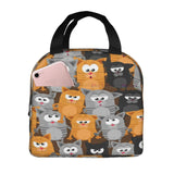 Cat Lunch Bag, Cute Kids Reusable Cooler Lunch Tote Bag Insulated Leakproof Lunch Box Container with Front Pocket for Girls Boys