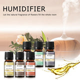 EUQEE 6pcs/set Fragrance Oil Gift Kit For Diffuser Coffee Bakery Harvest Spice Pumpkin Pie Forest Pine Sweet Fruit Aroma Oils