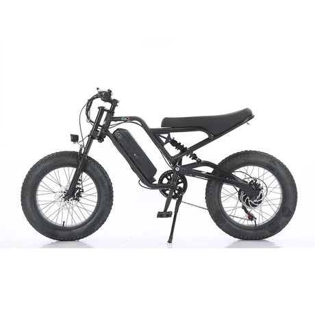 FEIVOS W2 1000W48V Snow tire electric bicycle Fat tire off-road e bike Free shipping for wholesale electric bicycles in factorie