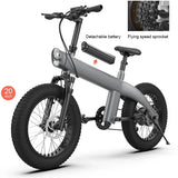 Fat Tire Ebike 20 Inch 7 Speed Mountain Electric Bike 4 Inch Wide Tire Beach Snow Bike Adult Electric Bike