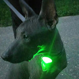 Truelove Pet Safety Flashing Dog Led Light Dog Accessories LED Glowing Pendant Outdoor Night for Collar Harness Pet Products