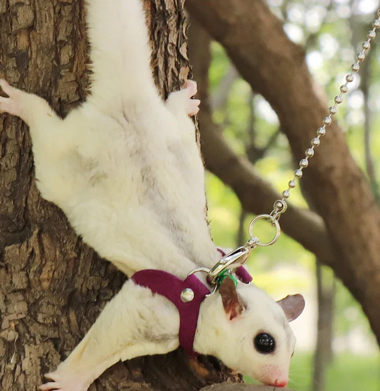 Sugar Glider Towing Harness Little Pet Outdoor Collar 3 Size In One Anti-lost Clothes Leash For Small Pet Supplies Leashes ZA212