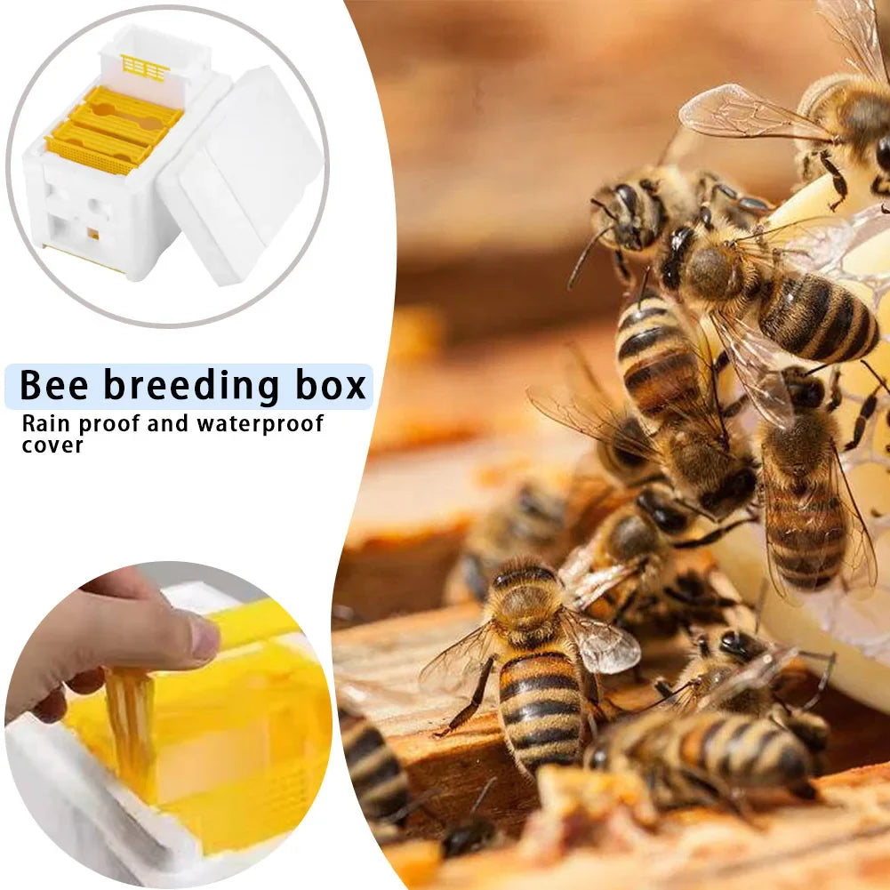 Beehive Beekeeping King Box Foam Home Bee Hive Pollination Boxes Harvest Bee Hive Beekeeper Mating Supplies