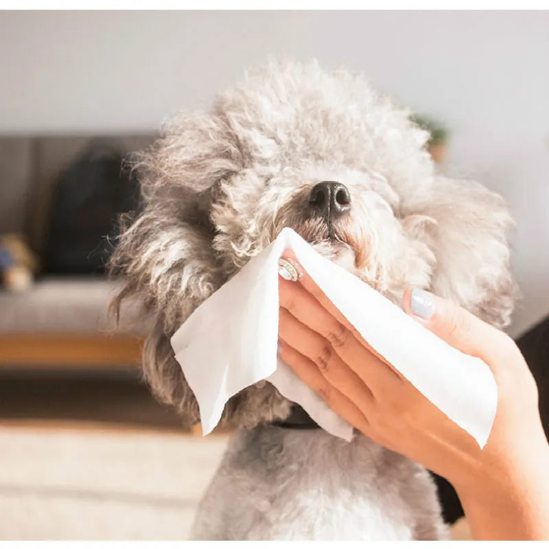 (70pcs/pack)Professional Puppy Wet Tissue Small Dog Wipes Summer Litter Housebreaking Clean Paper Towel For Pets