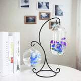 Double-deck Suspended Transparent Hanging Glass Fish Tank Infusion Bottle Aquarium Flower Plant Vase Flower Vase Decoration