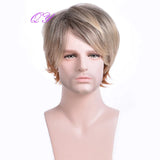 Synthetic Man Wigs  Black Short Curly For Men Wigs With High Temperature Fiber Daily Wear Curl Fashion Hairstyle Male Wig