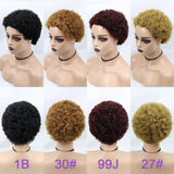 Kinky Curly Wigs Short Wigs for Black Women Human Hair Brazilian Curly Human Hair Wigs Full Machine Made Pixie Cut Wig Glueless