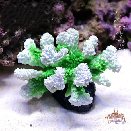 2022 New Artificial Resin Coral Reef Aquarium Ornaments Landscaping Fish Tank Decor Home Fish Tank Aquarium Accessories