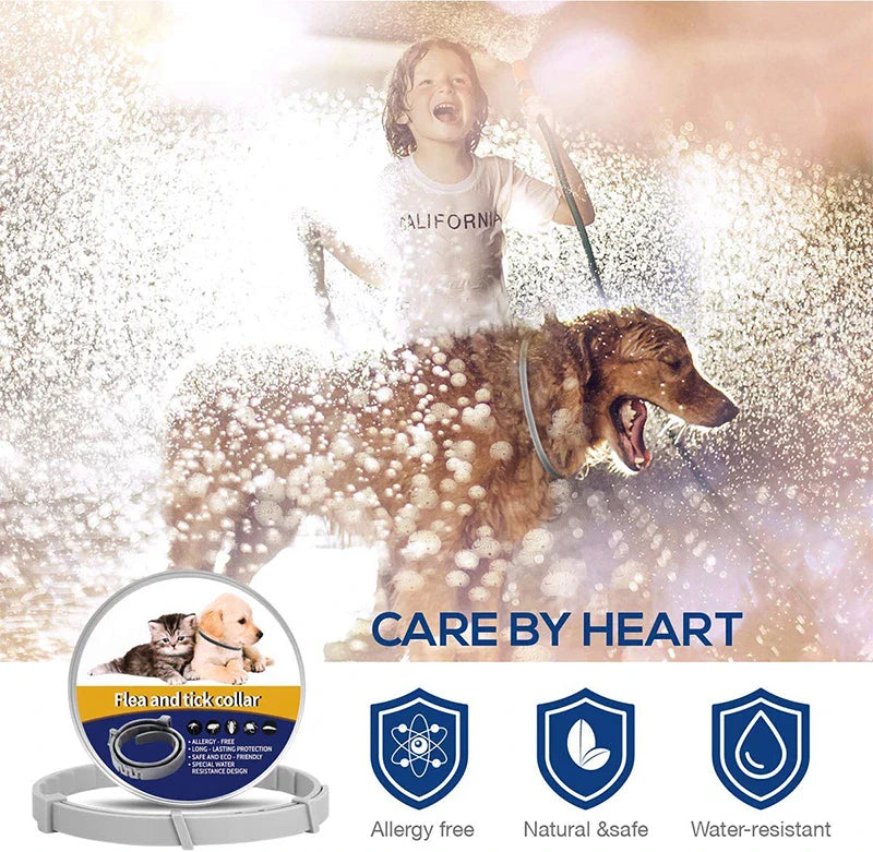 Benepaw Effective Pet Flea Collar 8 Months Protection Safe Waterproof Adjustable Dog Flea Tick Treatment Prevention Collar