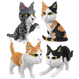 Balody Cat Block Animal World Persian Cat Tabby Kitten Pet 3D DIY Mini Diamond Blocks Bricks Building Toy for Children Gift