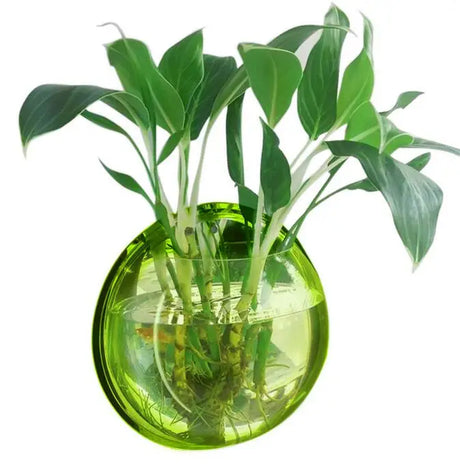 Behogar Dia 23cm/29.5cm Acrylic Fish Bowl Wall Mount Hanging Aquarium Aquatic Pet Supplies Products Fish Tank Flower Plant Vase