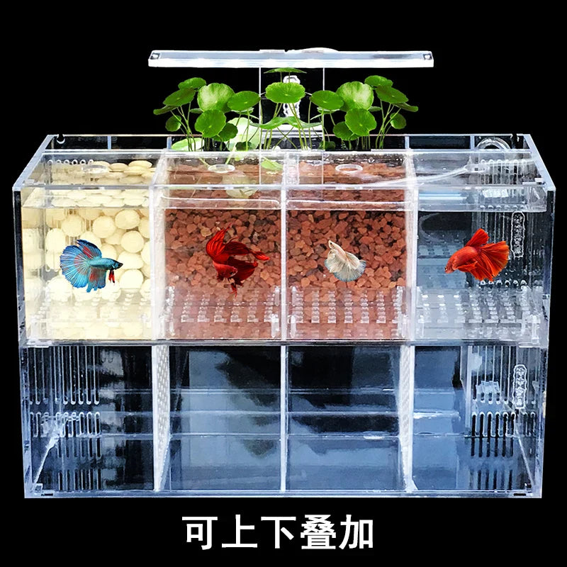 220V Creative Betta Fish Tank Breeding Incubator Isolation Box Water-free Desktop Small Acrylic Ecological Aquarium Tank