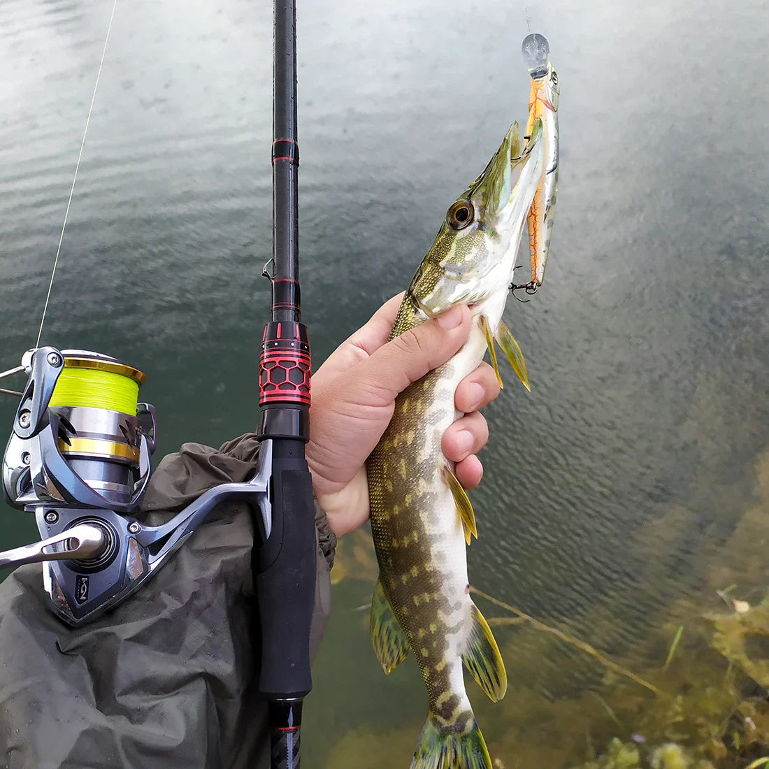 SeaKnight Brand Kraken Series Fishing Rod 2.4M 2.1M 1.98M FUJI Guide Lure Rod L ML M MH Power 30+40T Carbon Spinning Casting Rod