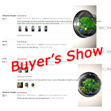 Behogar Dia 23cm/29.5cm Acrylic Fish Bowl Wall Mount Hanging Aquarium Aquatic Pet Supplies Products Fish Tank Flower Plant Vase