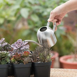 Stainless Steel Watering Pot Gardening Potted Small Watering Can Indoor Succulent Long Watering Flower Kettle 500ml #CW