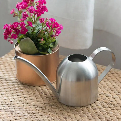 Stainless Steel Watering Pot Gardening Potted Small Watering Can Indoor Succulent Long Watering Flower Kettle 500ml #CW