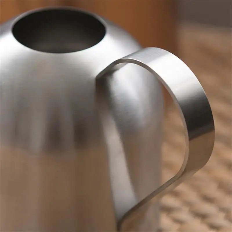 Stainless Steel Watering Pot Gardening Potted Small Watering Can Indoor Succulent Long Watering Flower Kettle 500ml #CW