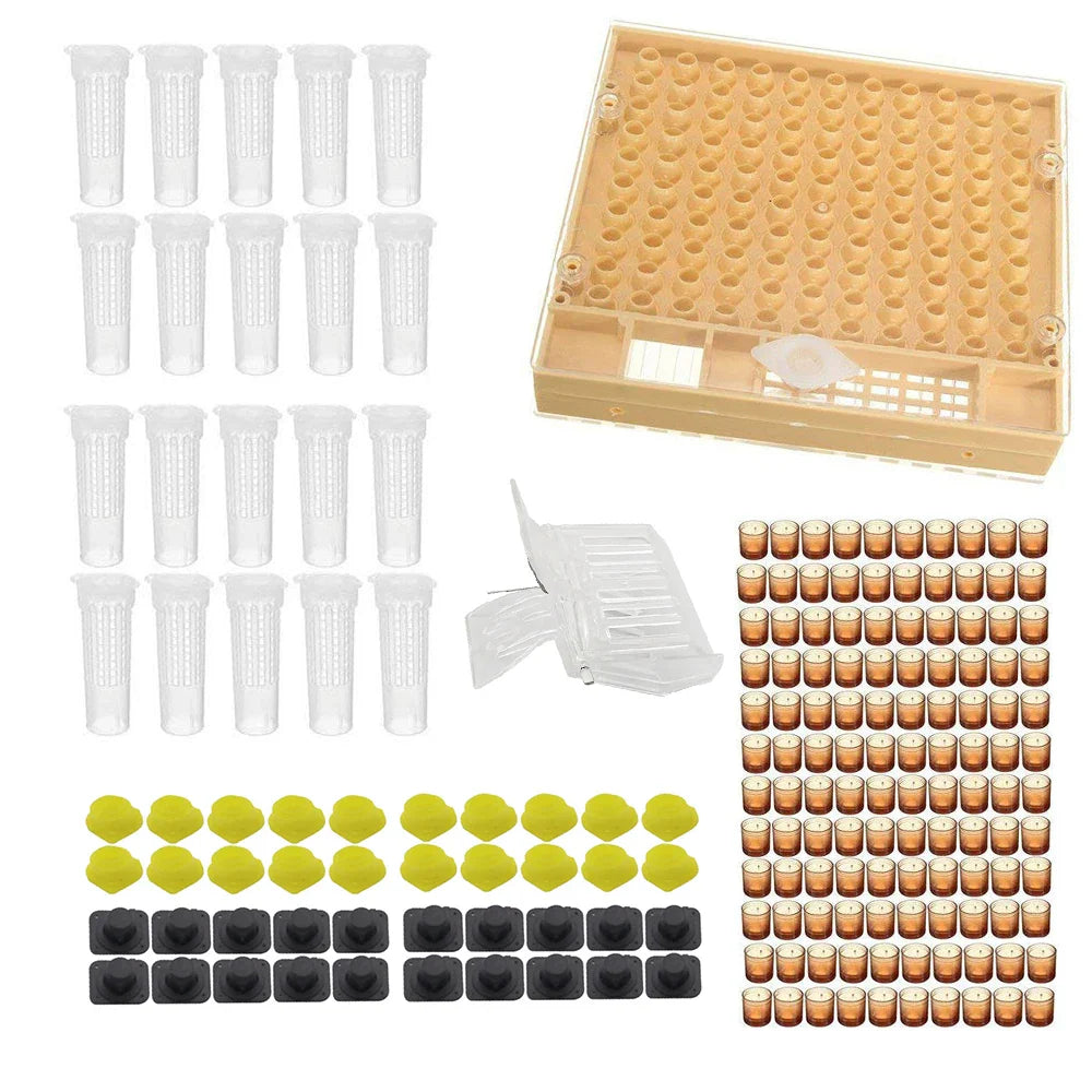 Complete Queen Rearing System Kit King Cultivating Box Plastic Bee Cells Cups Notkit Roller Clip Cage Beekeeping Tools Supplies