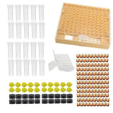 Complete Queen Rearing System Kit King Cultivating Box Plastic Bee Cells Cups Notkit Roller Clip Cage Beekeeping Tools Supplies