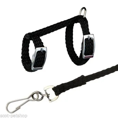 4 Colors Adjustable Nylon Harness Collar Set with Lead Leash for Small Animal Ferret Rat Hamster Rabbit Bunny Squirrel Guinea