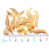 Carp Fishing Bait Pet Fish Hook Bait Freeze Dried Fishing Pawn Freshwater Shrimps for Winter Saltwater Fishing Makerel