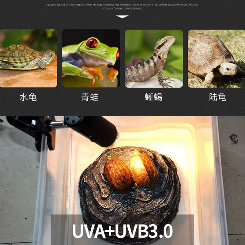 Heating Lamp Holder Clamp UVA+UVB 3.0 Lamp Set for Turtle Reptile Infrared Ceramic Light Bulb E27 Clip-on Base Habitat Lighting