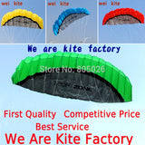 free shipping 2.5m dual Line Stunt power Kite soft kite Parafoil kite surf flying outdoor fun sports kites kiteboard factory koi