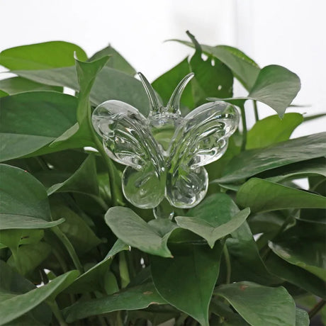 Houseplant Automatic Self Watering Glass Bird Watering Cans Flowers Plant Decorative Clear Glass Watering Device 12 Shapes