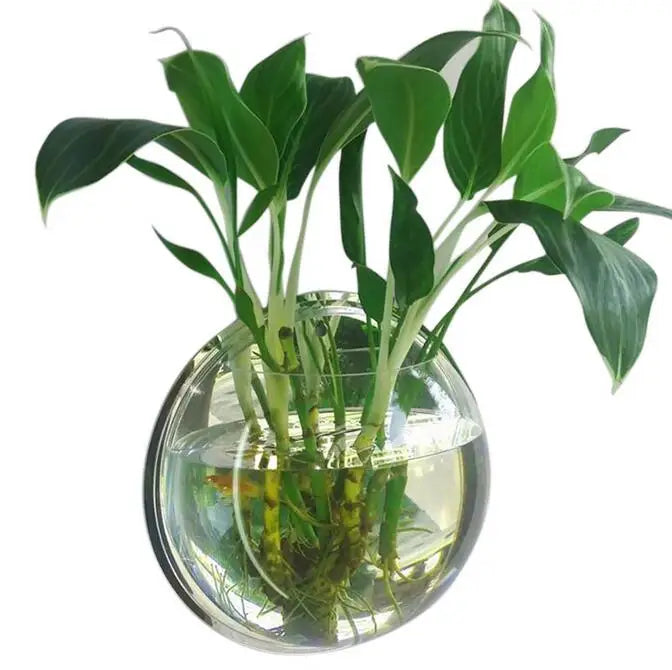 Behogar Dia 23cm/29.5cm Acrylic Fish Bowl Wall Mount Hanging Aquarium Aquatic Pet Supplies Products Fish Tank Flower Plant Vase
