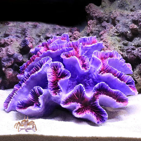 2022 New Artificial Resin Coral Reef Aquarium Ornaments Landscaping Fish Tank Decor Home Fish Tank Aquarium Accessories