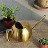 1L Stainless Steel Watering Pot Gardening Potted Small Watering Can With Handle For Watering Plants Flower Garden Tool