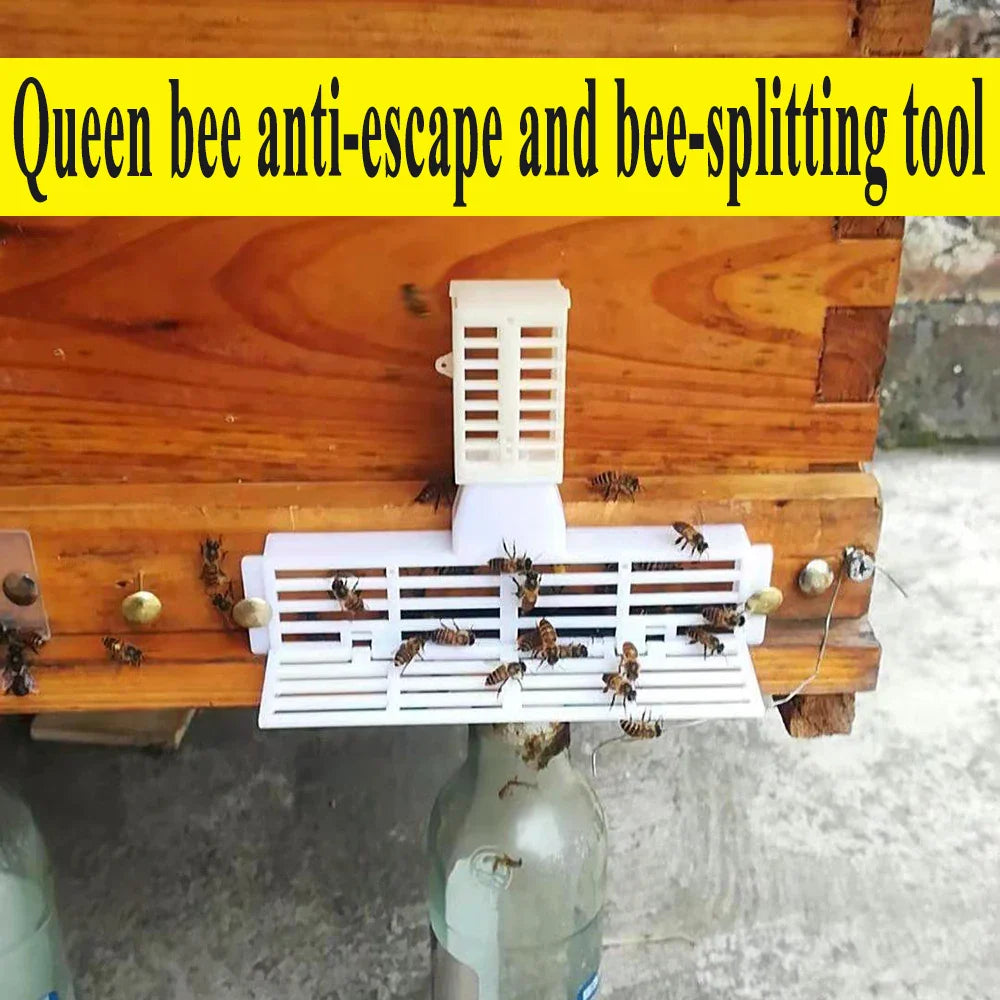 12SET Beekeeping Tools Queen Anti Fly Anti-Escape Frame Cage Seperate New Bees King Supplies Plastic