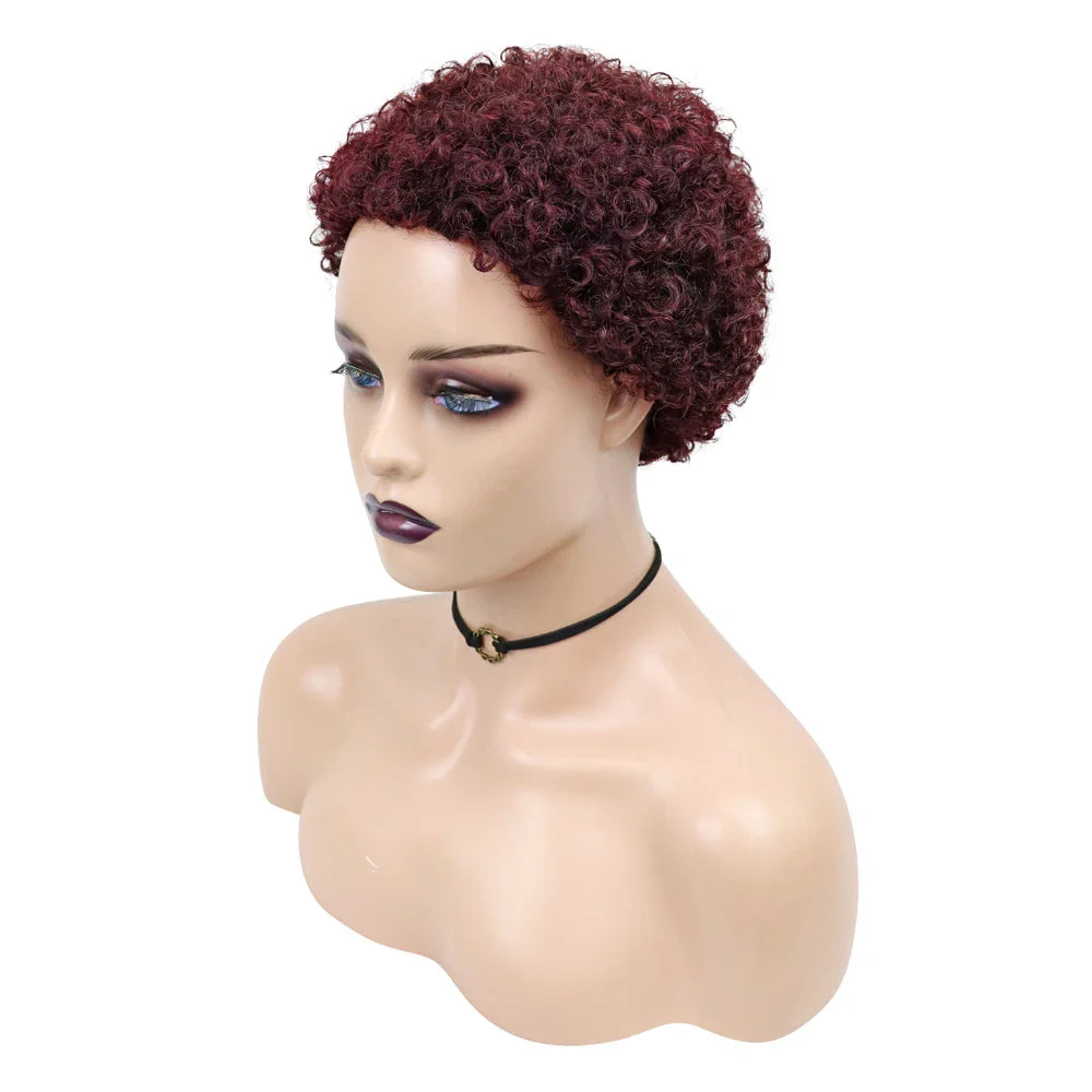 Kinky Curly Wigs Short Wigs for Black Women Human Hair Brazilian Curly Human Hair Wigs Full Machine Made Pixie Cut Wig Glueless