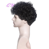 Synthetic Man Wigs  Black Short Curly For Men Wigs With High Temperature Fiber Daily Wear Curl Fashion Hairstyle Male Wig