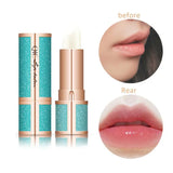 Starry sky Natural Plant Extracts Lipstick Moisturizing Nourishing Lip Balm Improve Lip status Remove dead peel Lip care TSLM1