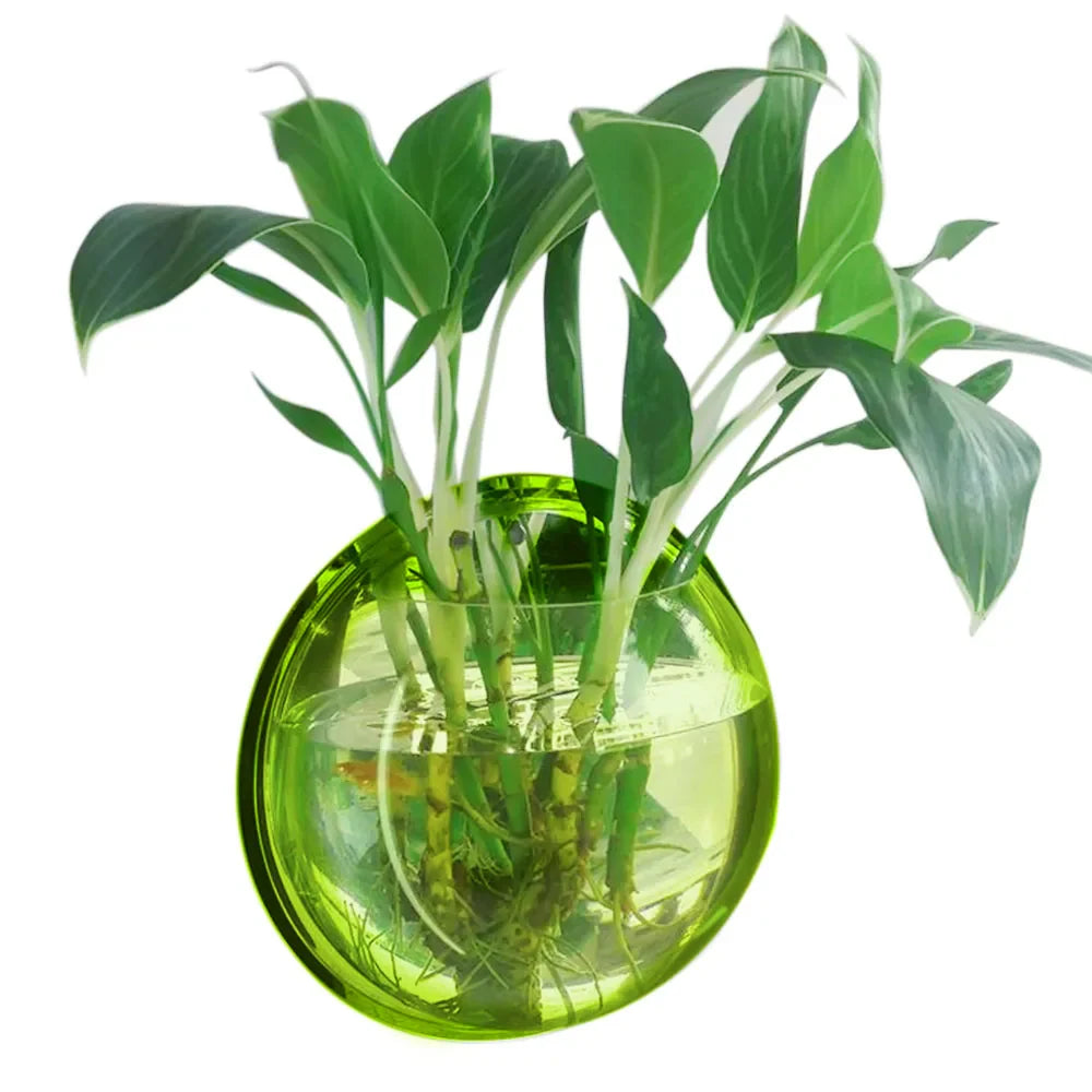 Behogar Dia 23cm/29.5cm Acrylic Fish Bowl Wall Mount Hanging Aquarium Aquatic Pet Supplies Products Fish Tank Flower Plant Vase