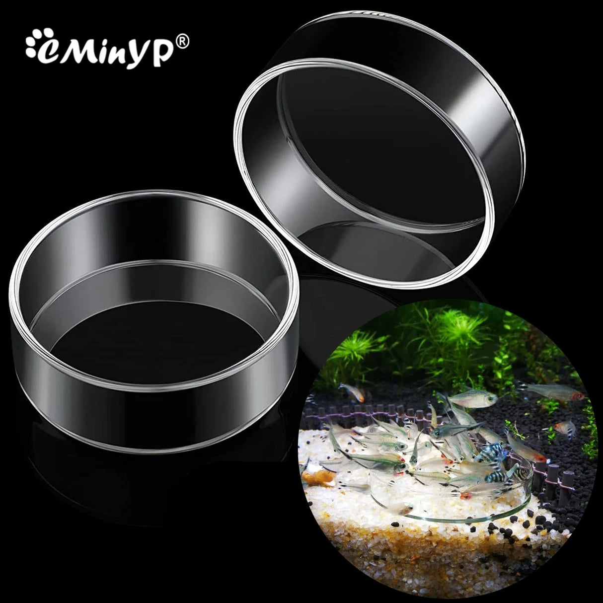 Aquarium Feeding Bowl Fish Tank Feeder Shrimp Tropical Fish Ratfish Glass Feeding Dish Clear Round Tray Reduce Food Scraps